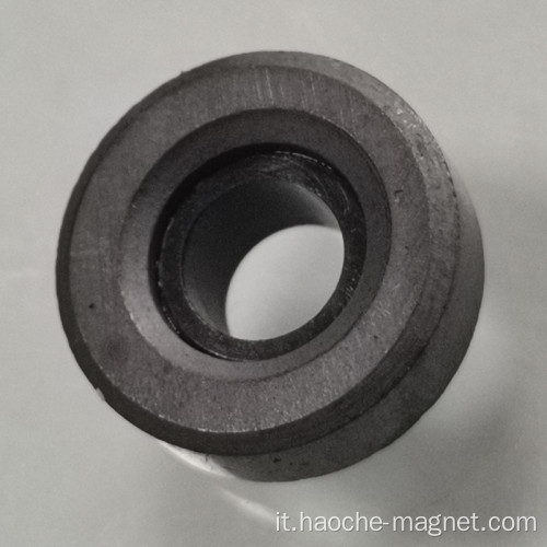 Magnete segnale di impulso da 20 pole encoder magnetico